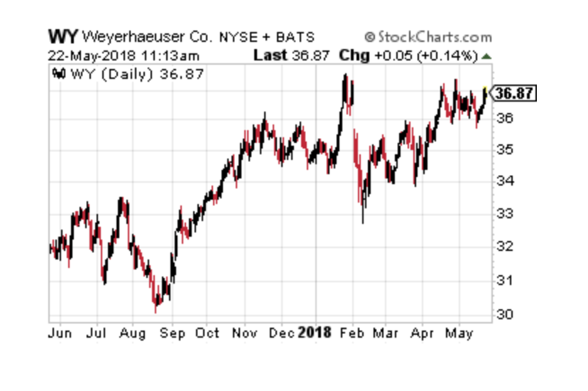 Buy These 3 Timber Stocks as Lumber Prices Continue to Skyrocket